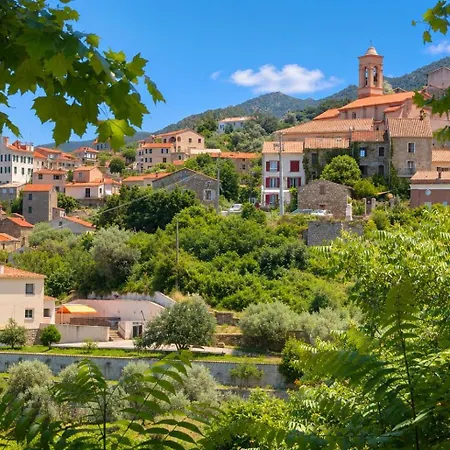 Holiday home Maison De Vue Calcatoggio (Corsica)